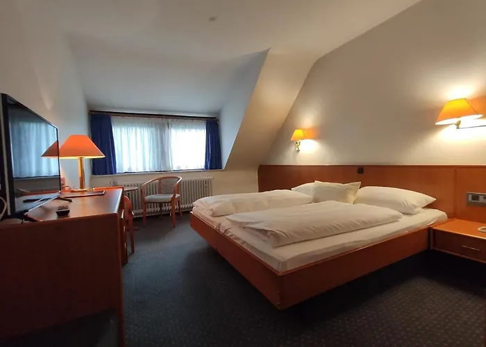 Hotel Condi 3*